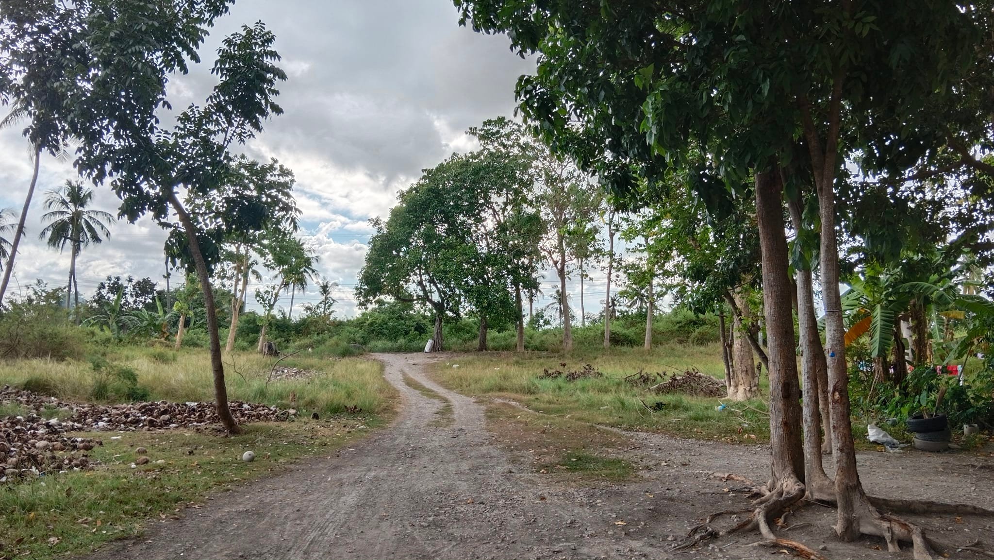 TIERRA ALTA SAN FERNADO CEBU - MPH Realty Cebu